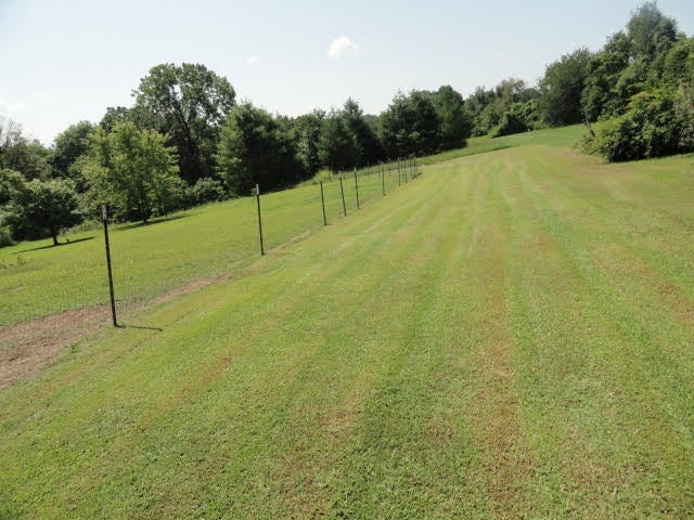 365 Bristletown Road Glasgow, KY 42141 - Photo 13 of 22 Gallery Image 13