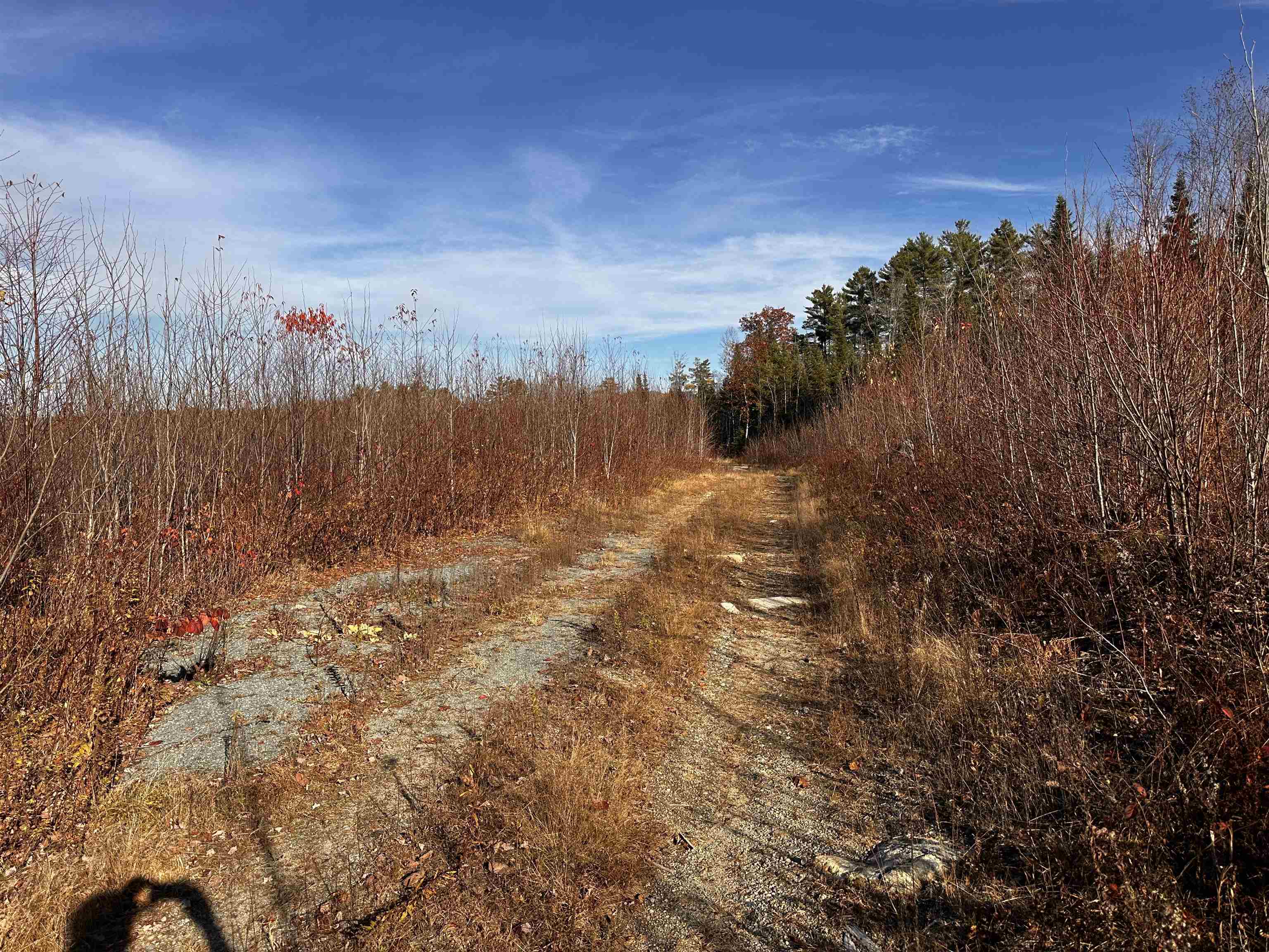 Tbd Mcintyre Road, Unit 7 Dalton, NH 03598 - Photo 6 of 19