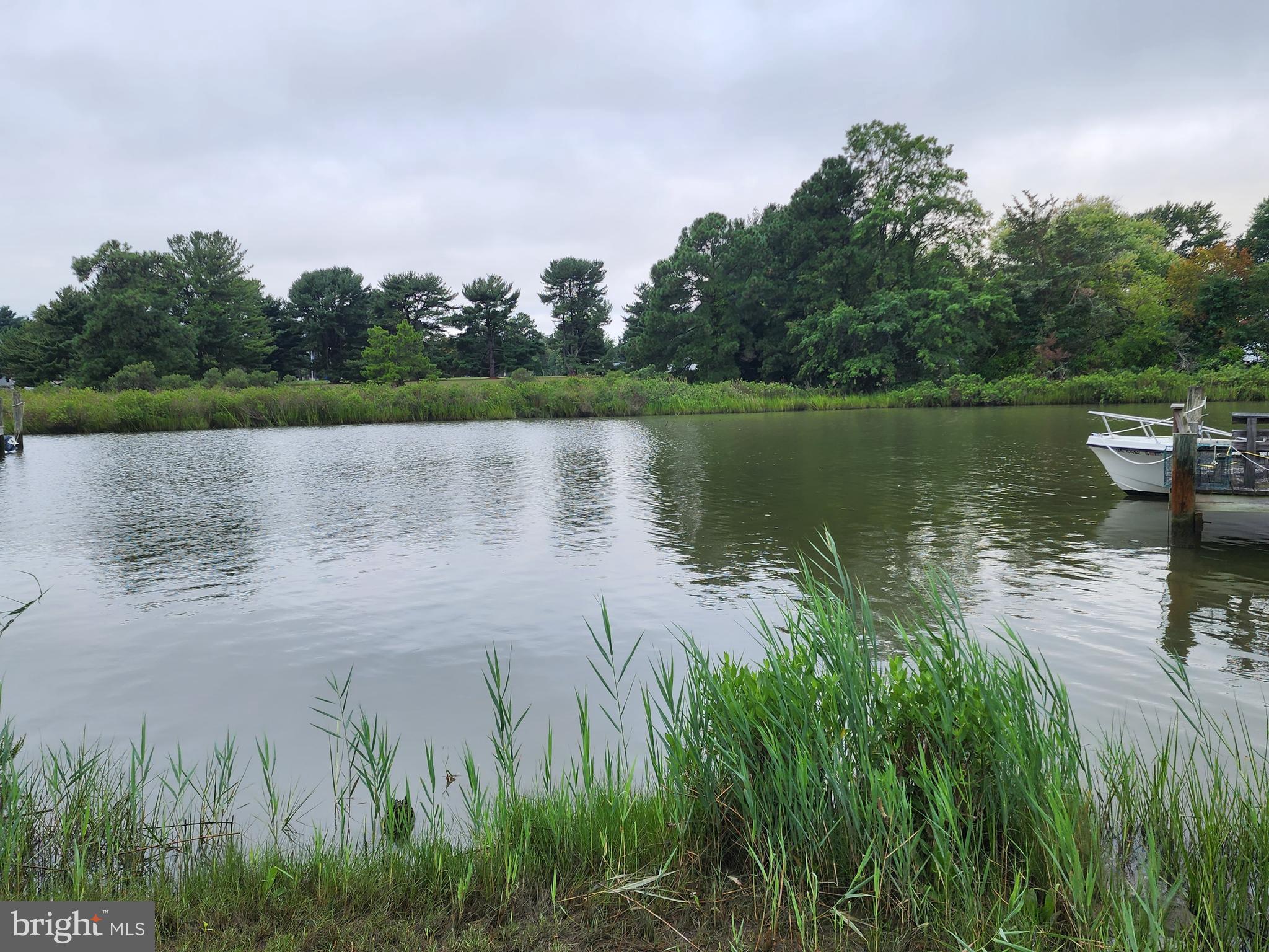 Parks Road Chester, MD 21619 - Photo 2 of 15 a body of water with a tree in the background