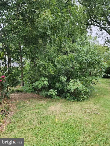 a view of a yard with a tree