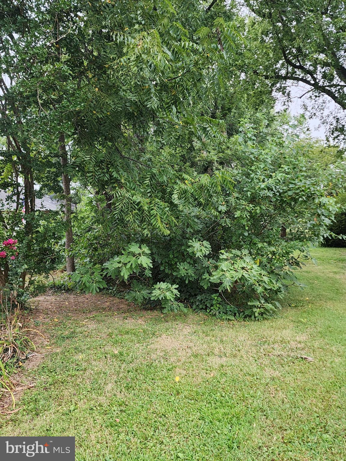 Parks Road Chester, MD 21619 - Photo 5 of 15