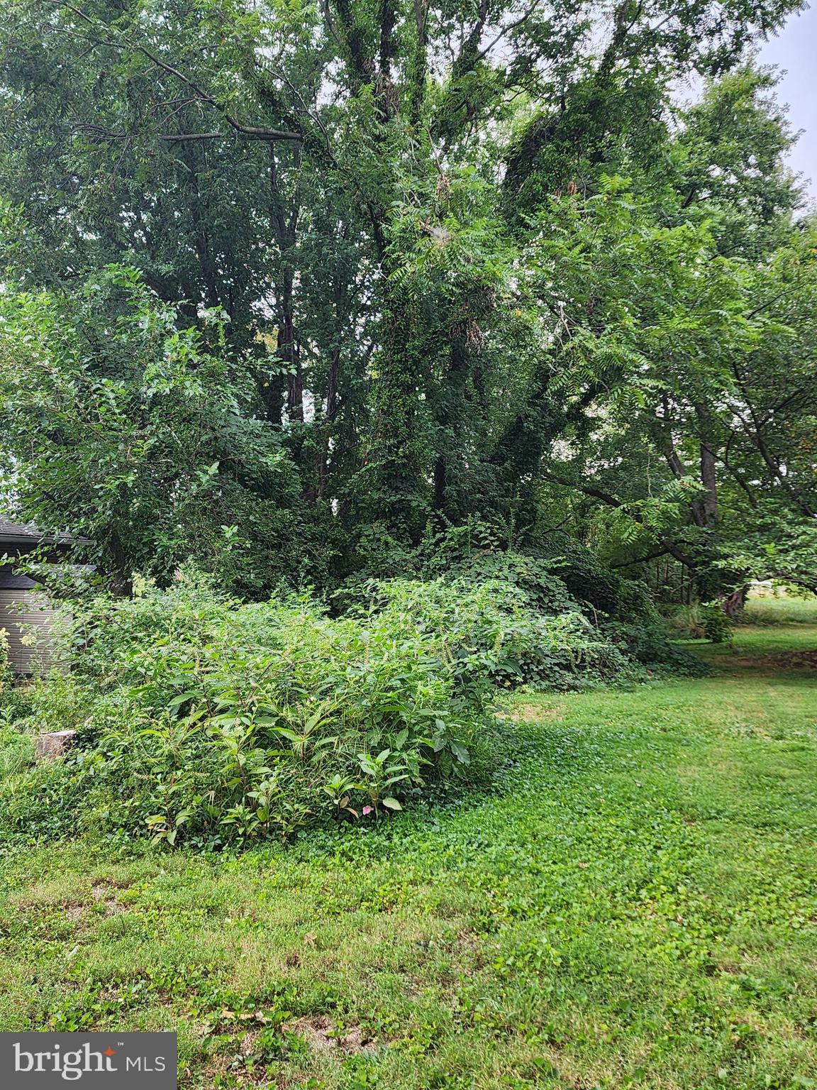 Parks Road Chester, MD 21619 - Photo 5 of 15 a view of a garden