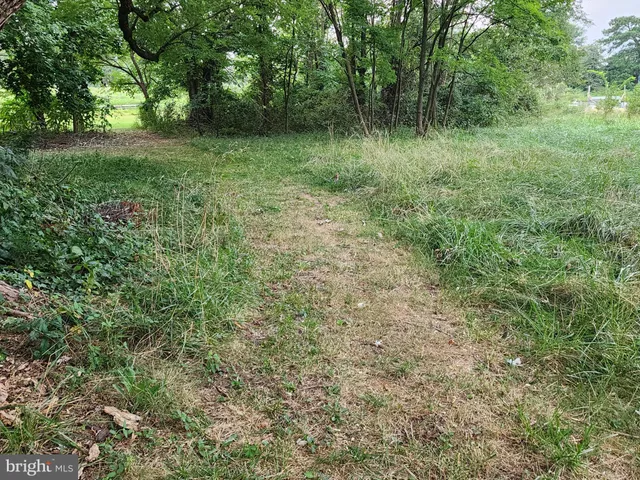 a view of outdoor space and yard
