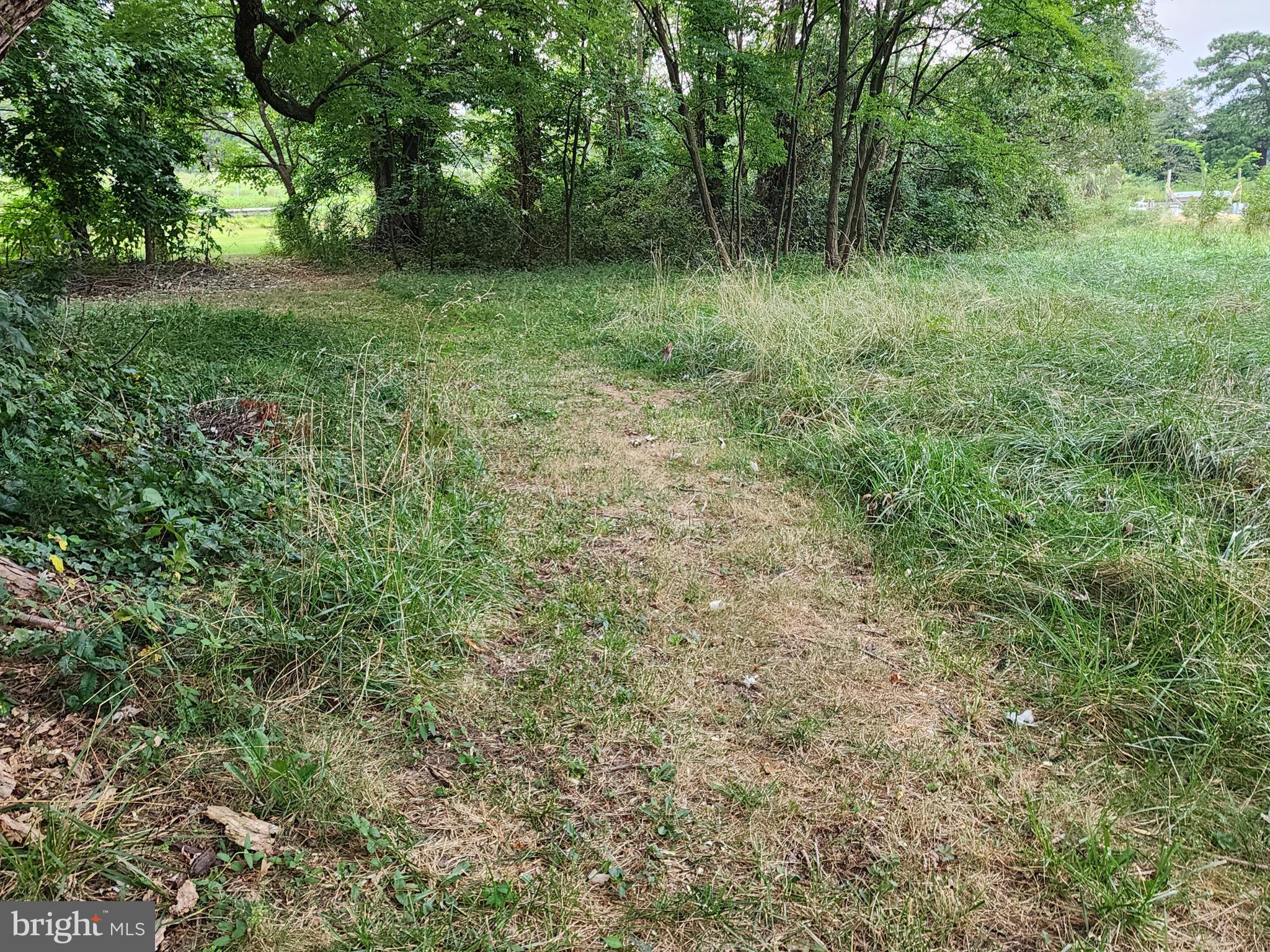 Parks Road Chester, MD 21619 - Photo 6 of 15 a view of outdoor space and yard
