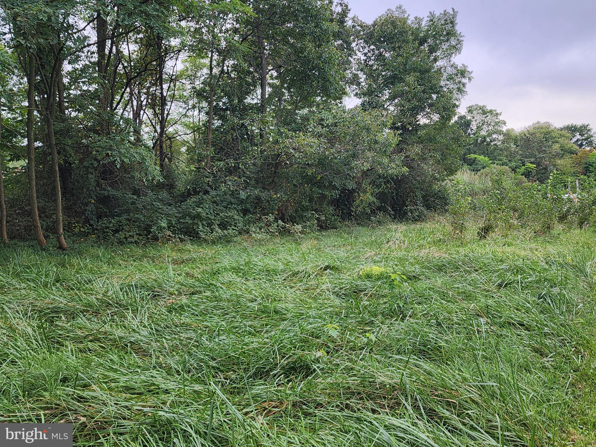 Parks Road Chester, MD 21619 - Photo 7 of 15 a view of outdoor space and green space