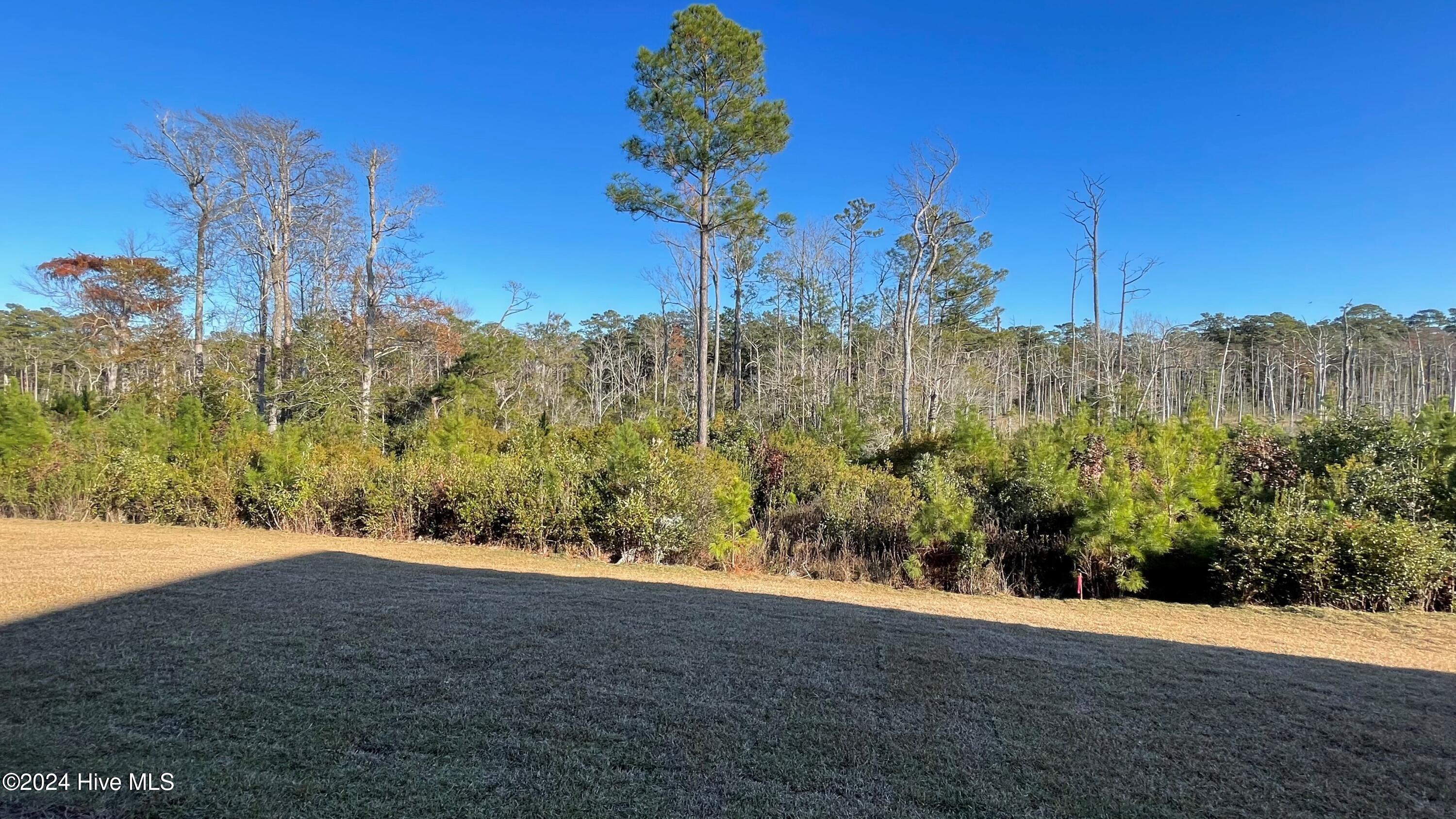 1215 Rippling Cove Loop Southwest Supply, NC 28462 - Photo 2 of 27 lot 74 Rear Yard