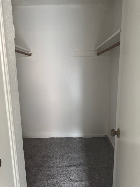 10106 Prairie Mist Street Houston, TX 77088 - Photo 12 of 20 Primary Bedroom Walk In Closet