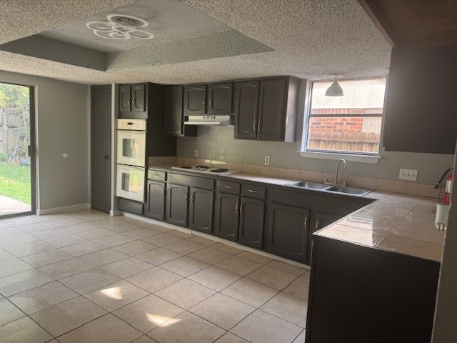 10106 Prairie Mist Street Houston, TX 77088 - Photo 4 of 20 a kitchen with stainless steel appliances granite countertop a sink and a stove