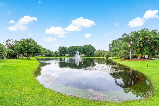 a view of a lake with a yard and a large tree