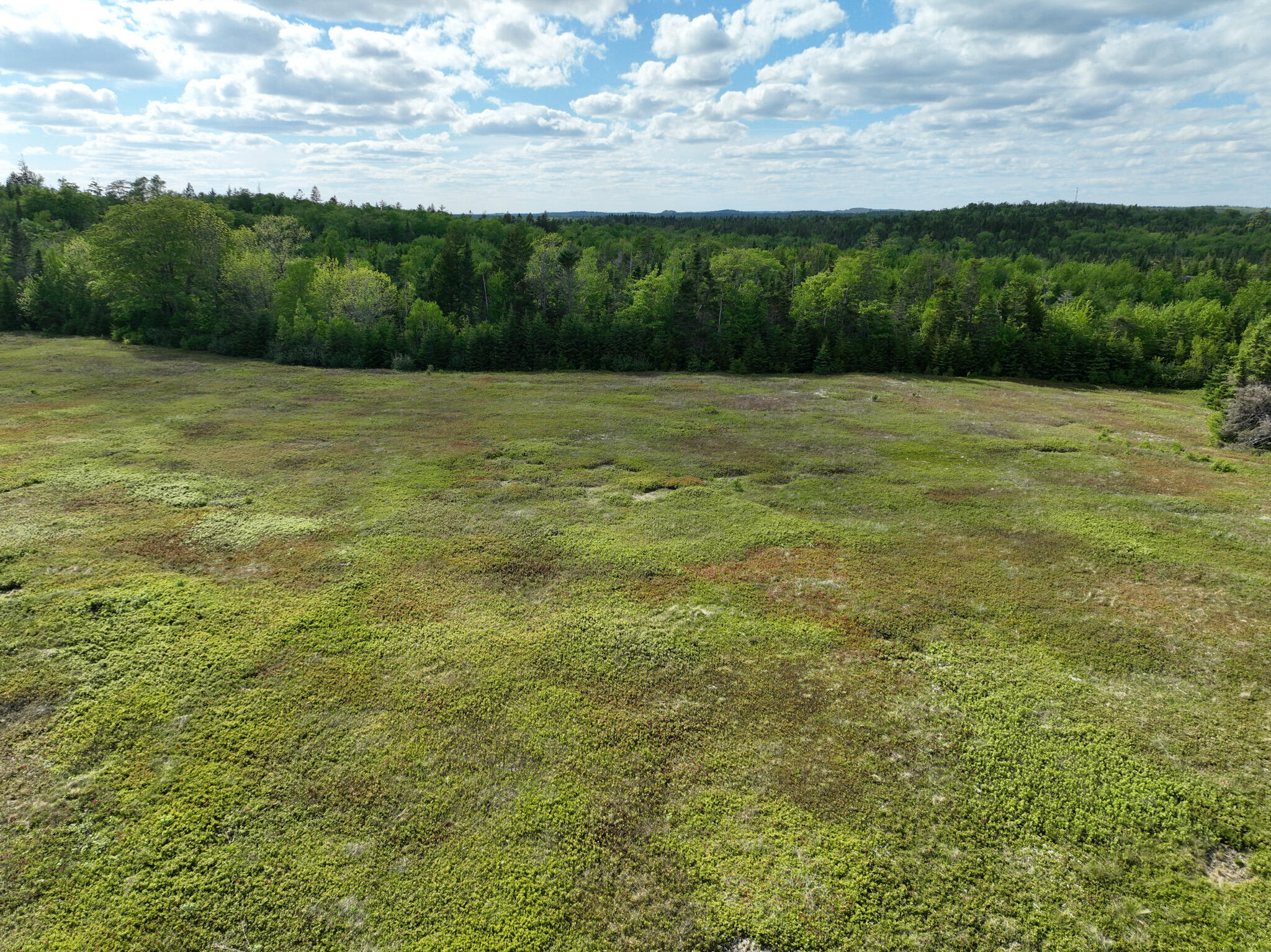 18-05 Number 9 Road Lubec, ME 04652 - Photo 28 of 43 DJI_0434