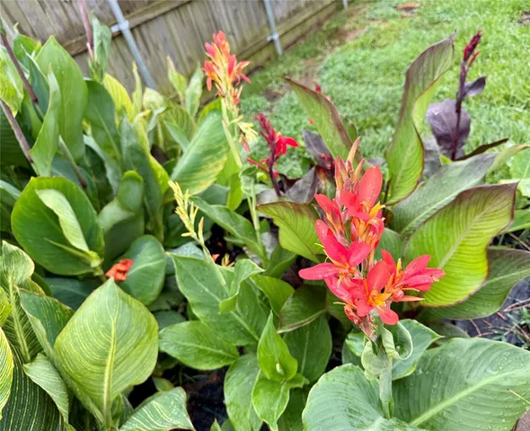 $420,000 | 19430 Sara Lane, Flint, TX 75762