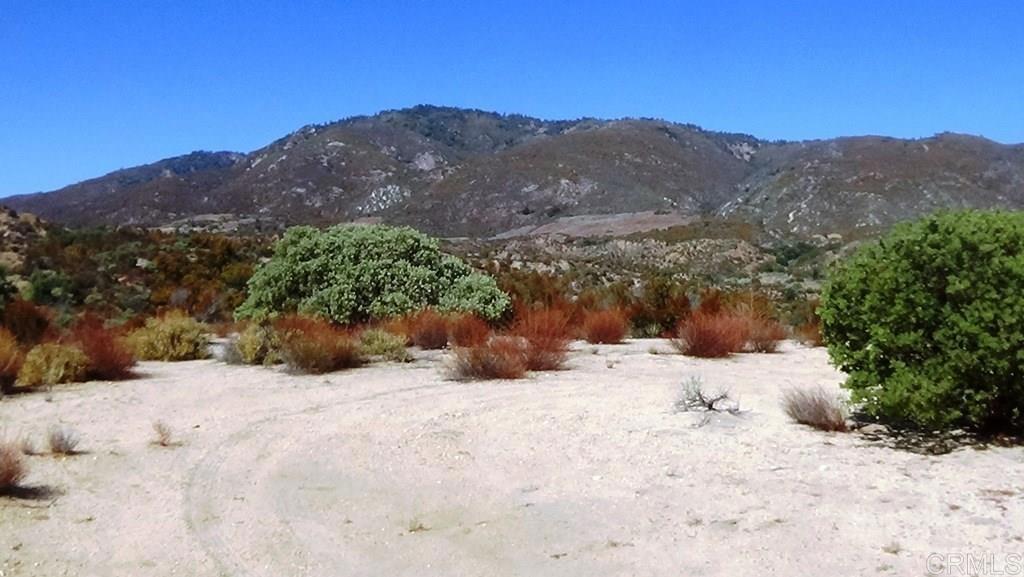 a view of a backyard of a house