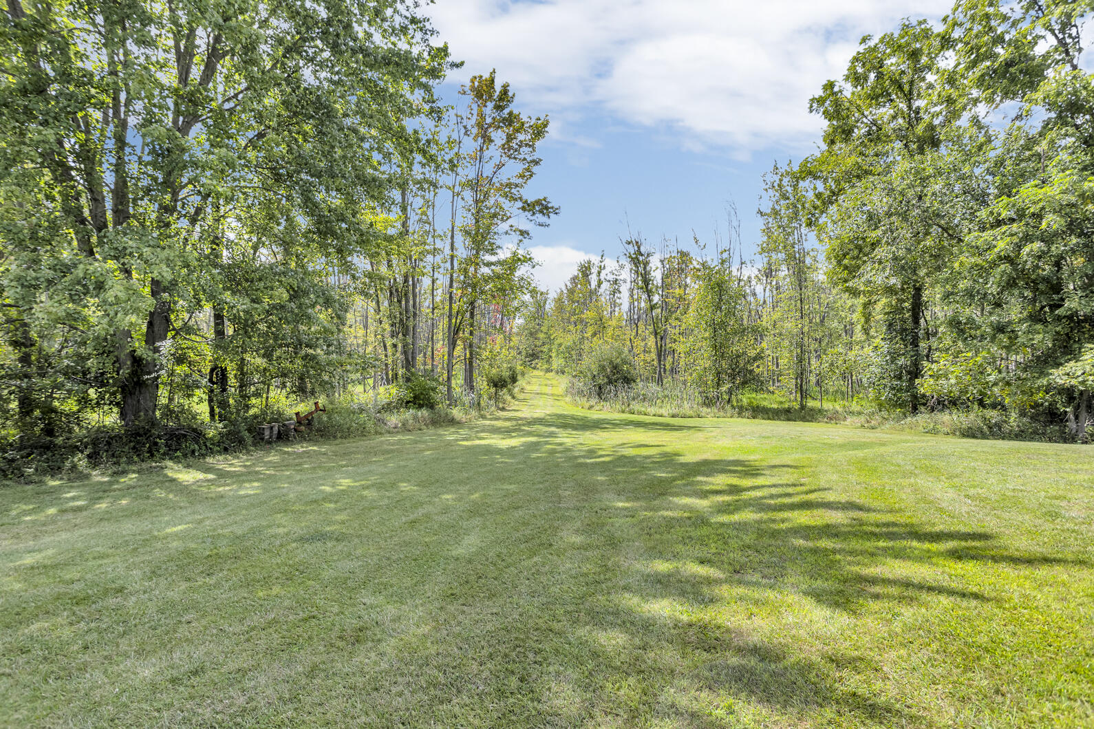 13345 Sandy Beach Road Manitou Beach, MI 49253 - Photo 62 of 77 0N0A8870