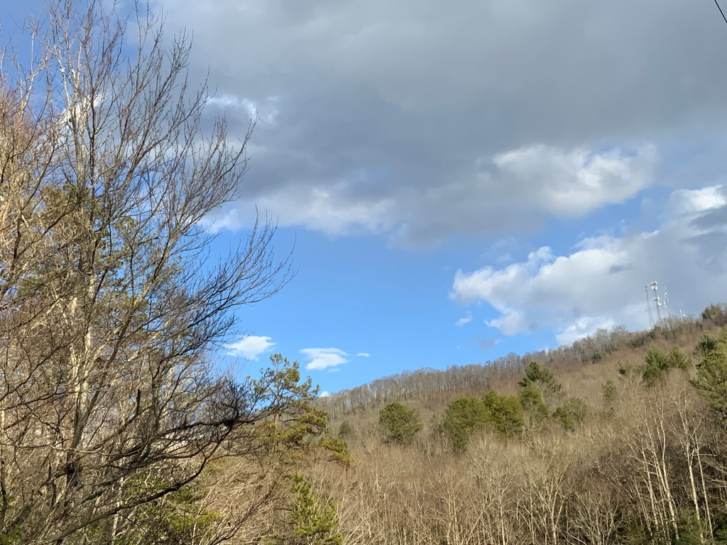 Lot 16 Ivy Log Road Warne, NC 28909 - Photo 14 of 16