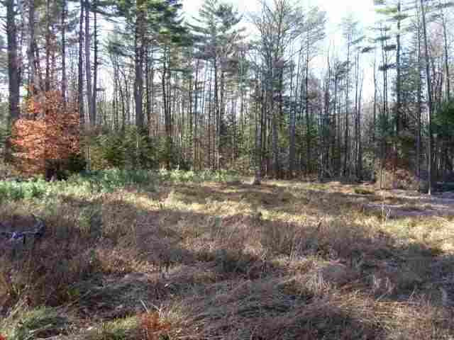 20 Pine Ridge Road Day, NY 12835 - Photo 1 of 4 Photo 1