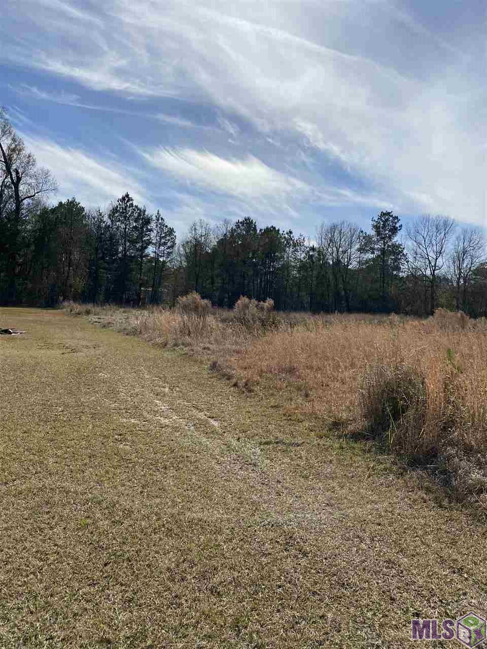 Tbd Brashears Road Denham Springs, LA 70706 - Photo 2 of 5