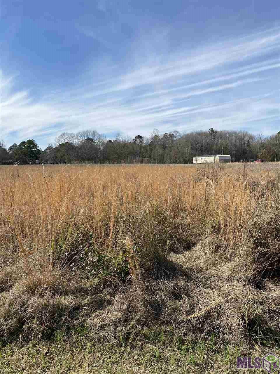 Tbd Brashears Road Denham Springs, LA 70706 - Photo 4 of 5