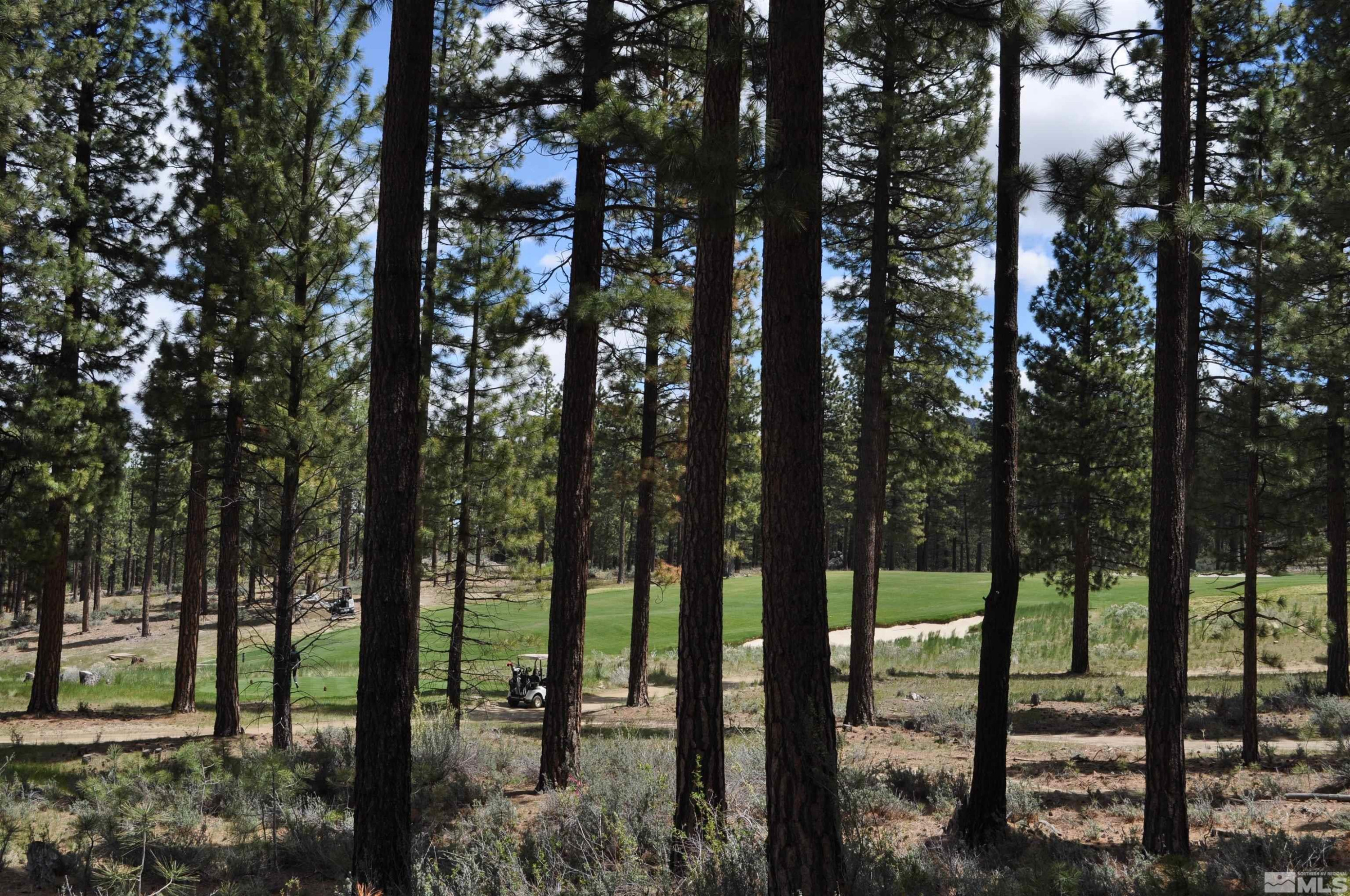 127 Walton Toll Road, Unit 263 Carson City, NV 89705 - Photo 2 of 40 a view of outdoor space with lots of trees