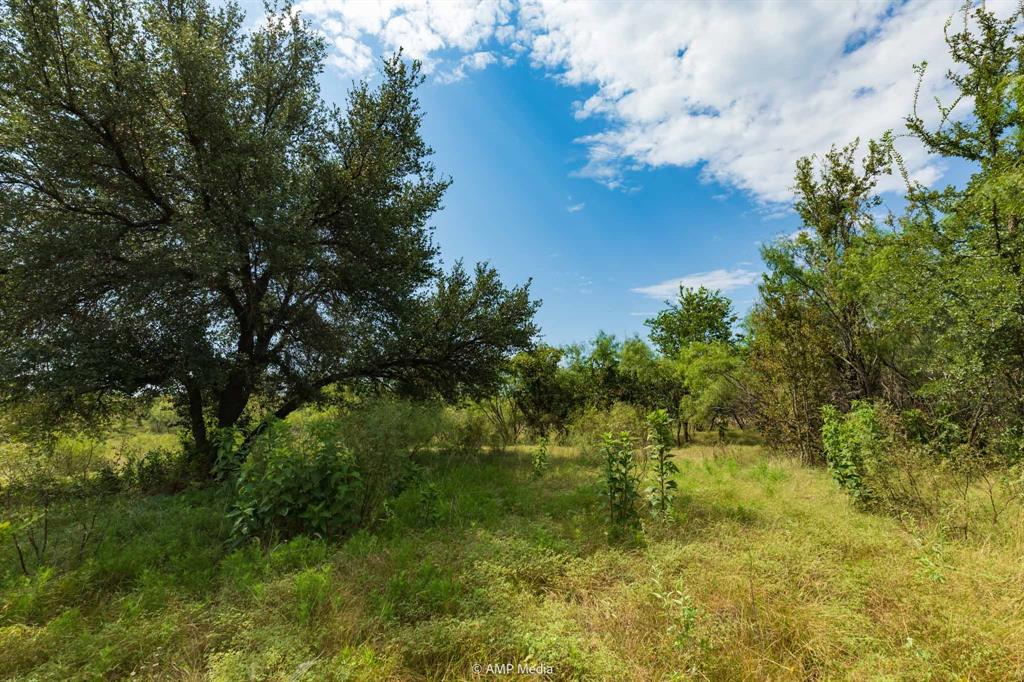 241 Whitetail Spgs Lane Gustine, TX 76455 - Photo 11 of 15 a view of a bunch of trees and bushes