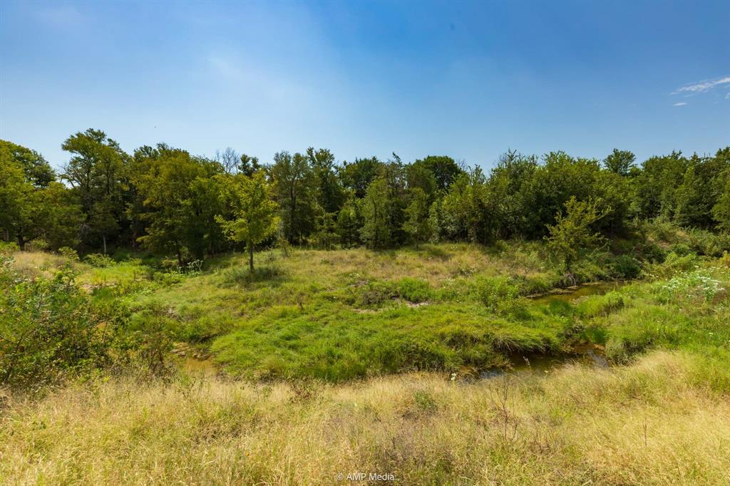 241 Whitetail Spgs Lane Gustine, TX 76455 - Photo 12 of 15