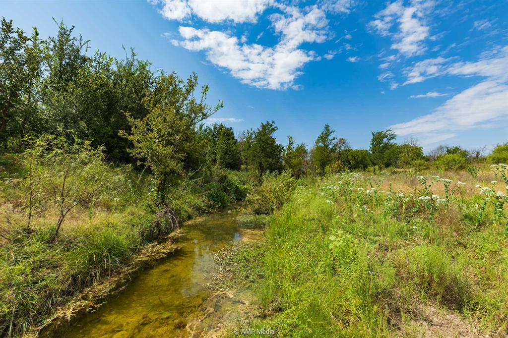 241 Whitetail Spgs Lane Gustine, TX 76455 - Photo 13 of 15 a view of a yard with a tree