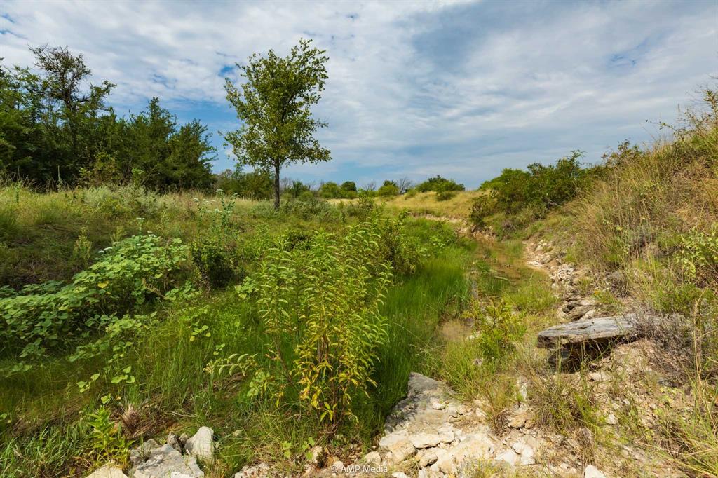 241 Whitetail Spgs Lane Gustine, TX 76455 - Photo 6 of 15 a view of a lake with a garden