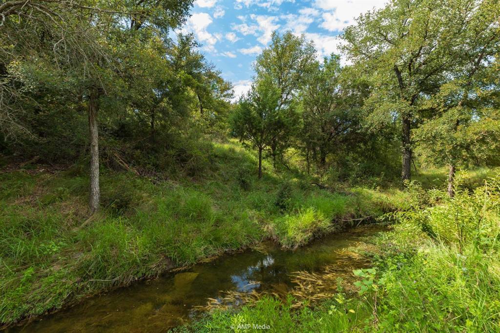 241 Whitetail Spgs Lane Gustine, TX 76455 - Photo 8 of 15 a view of a forest