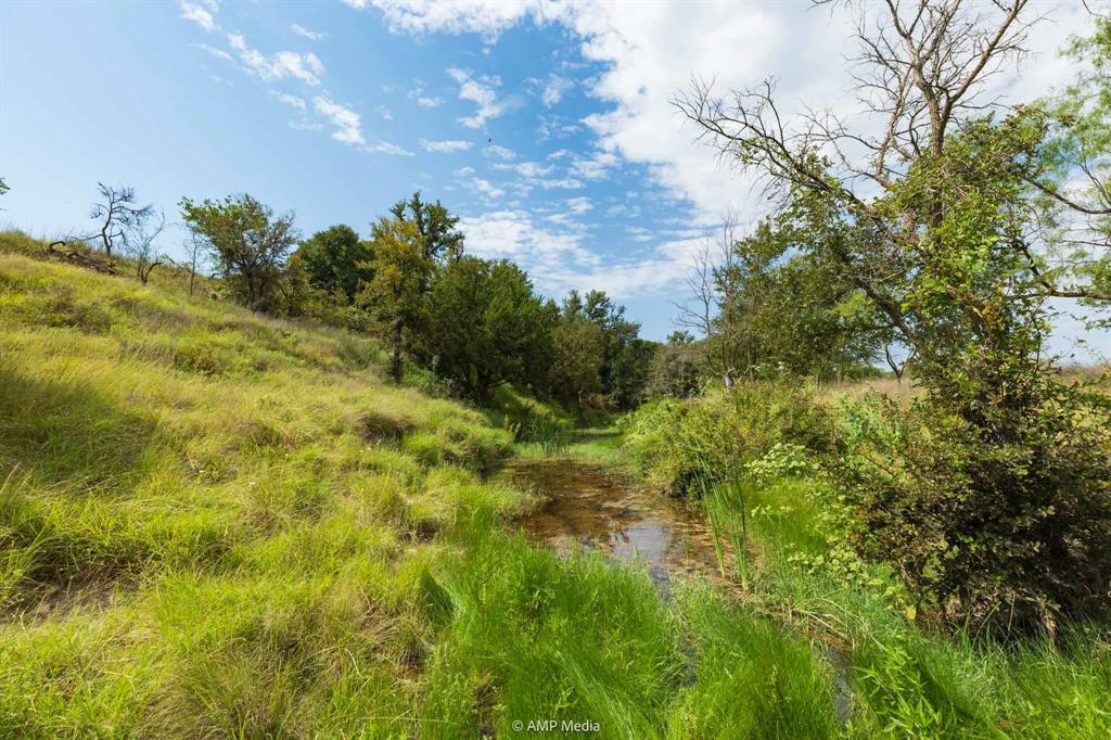 241 Whitetail Spgs Lane Gustine, TX 76455 - Photo 9 of 15 a view of a field