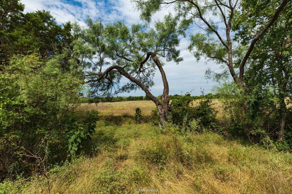 241 Whitetail Spgs Lane Gustine, TX 76455 - Photo 10 of 15 a view of a lake with a tree