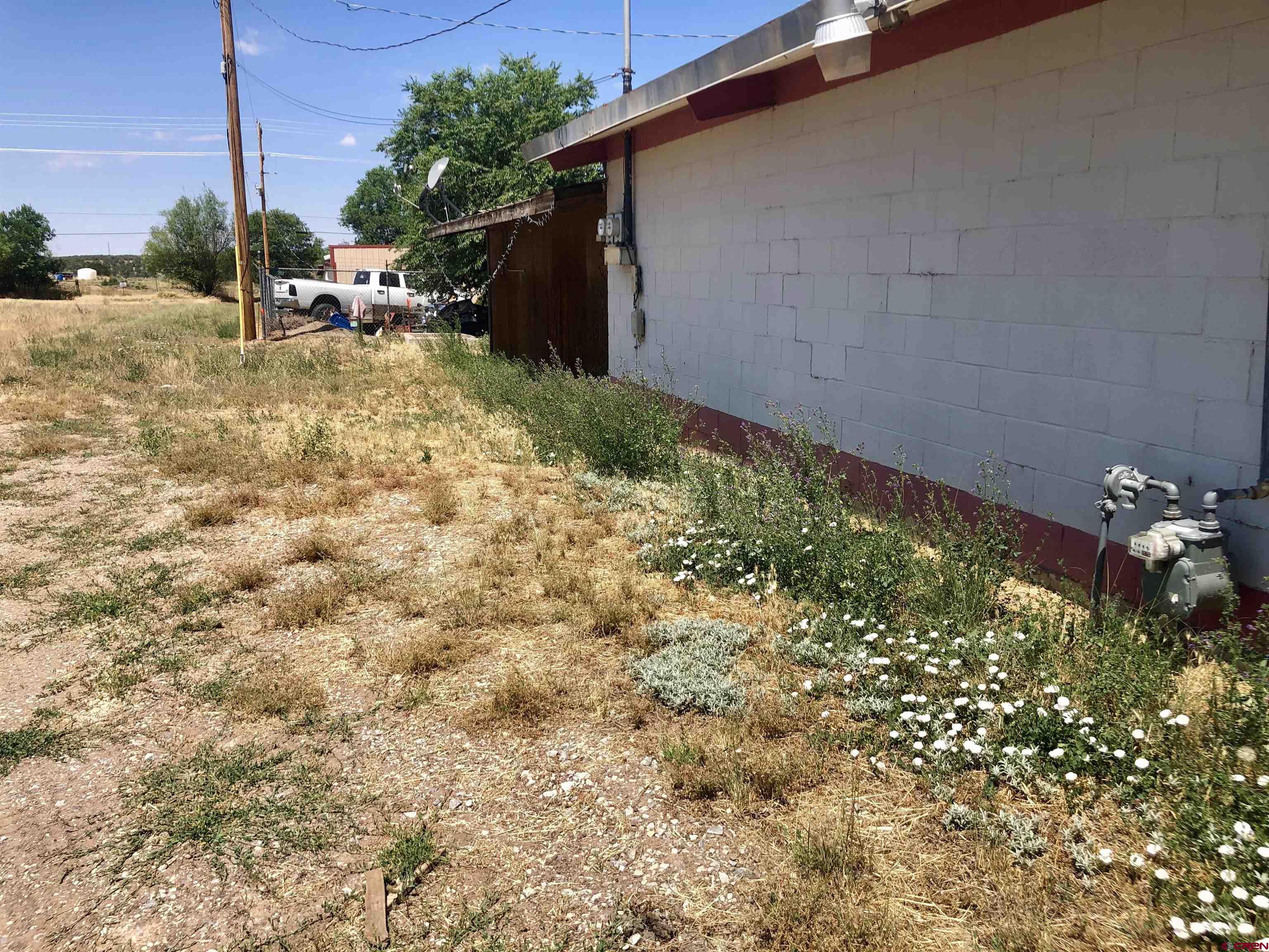 409 North Broadway Cortez, CO 81321 - Photo 6 of 13 a view of backyard with plants and outdoor seating