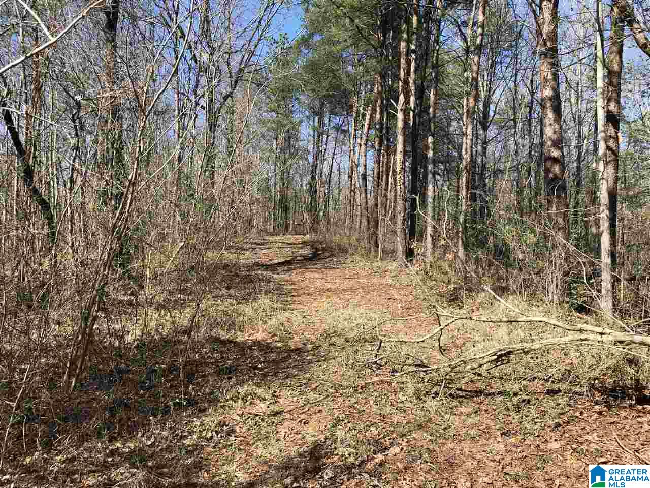 6274 New Castle Road, Unit 19 ACRES Morris, AL 35116 - Photo 8 of 30 Gallery Image 8