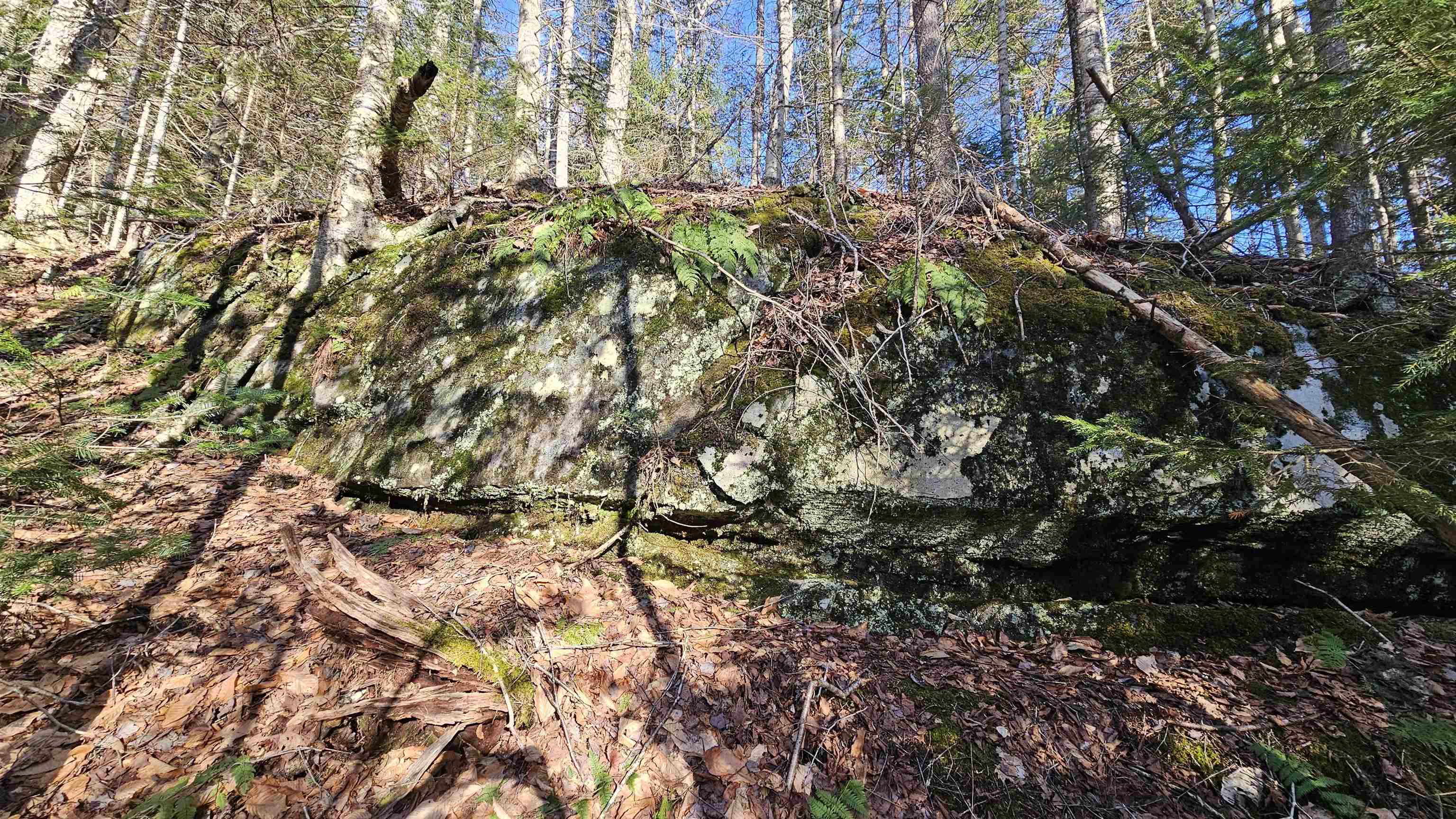 512 Woodbury Mountain Road Calais, VT 05648 - Photo 27 of 59