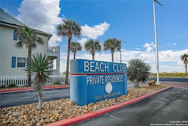 a view of outdoor space with potted plants