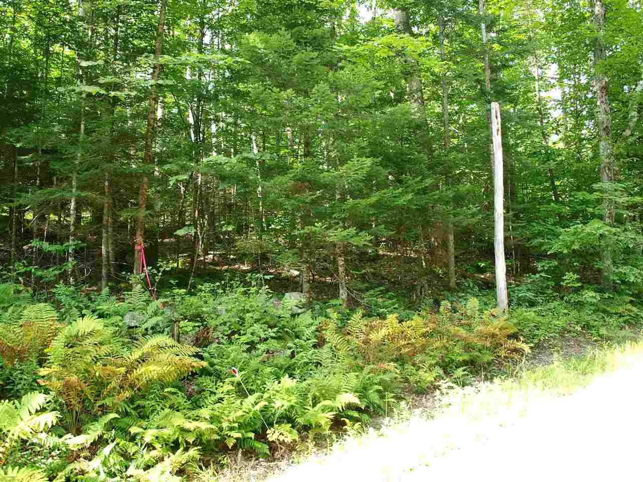 Lot 8.3 Cyr Road Bethlehem, NH 03574 - Photo 1 of 4