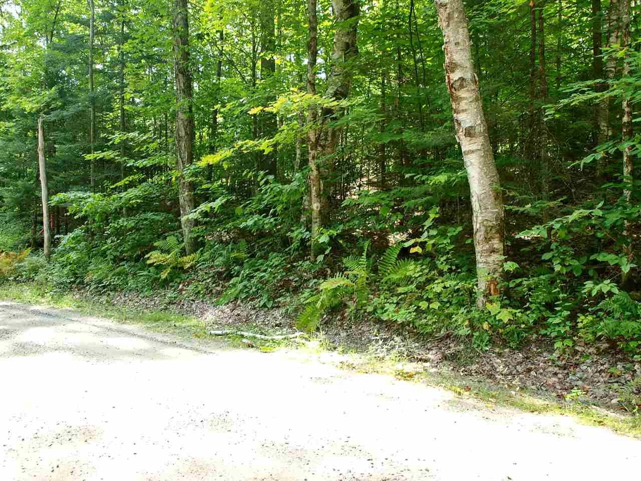 Lot 8.3 Cyr Road Bethlehem, NH 03574 - Photo 2 of 4