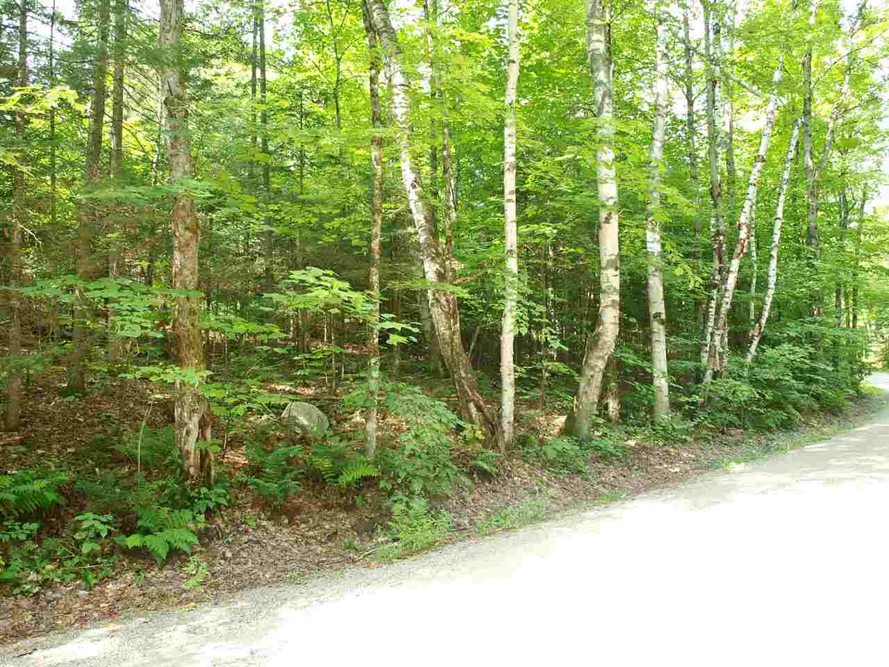Lot 8.3 Cyr Road Bethlehem, NH 03574 - Photo 3 of 4