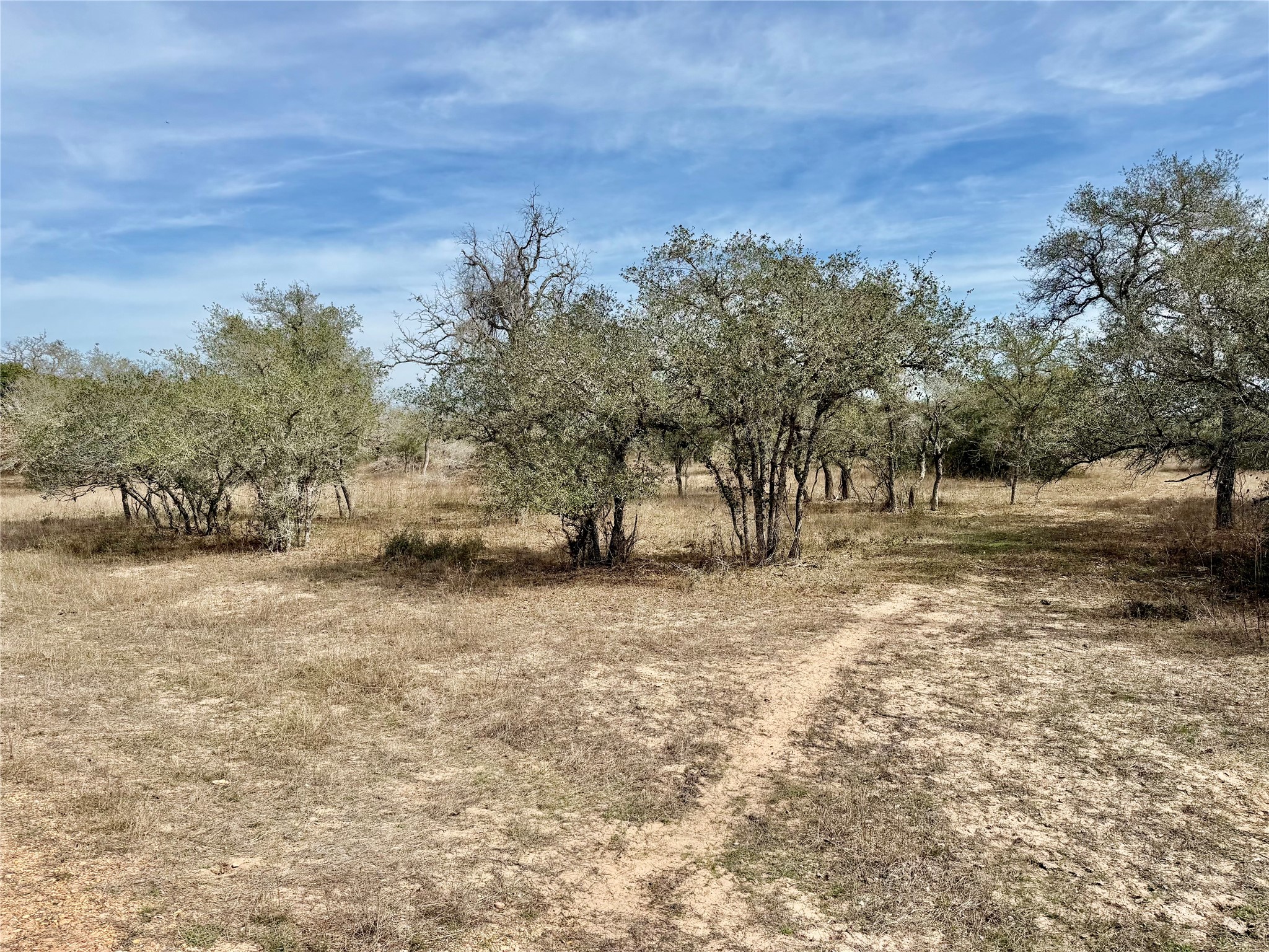 17.20-acres Friar Road Cuero, TX 77954 - Photo 4 of 14 a street view with large trees