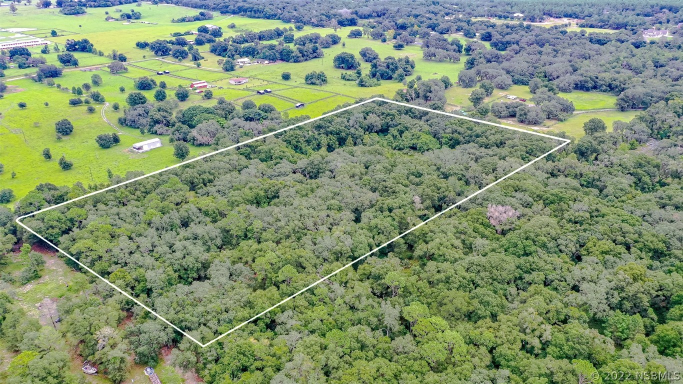 0 Reynolds Road De Leon Springs, FL 32130 - Photo 5 of 12 a view of a lush green forest with lots of trees