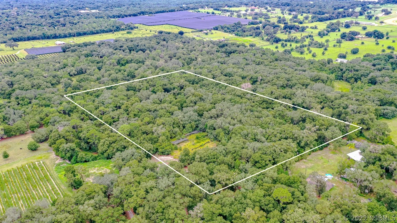 0 Reynolds Road De Leon Springs, FL 32130 - Photo 6 of 12 a view of a lush green field