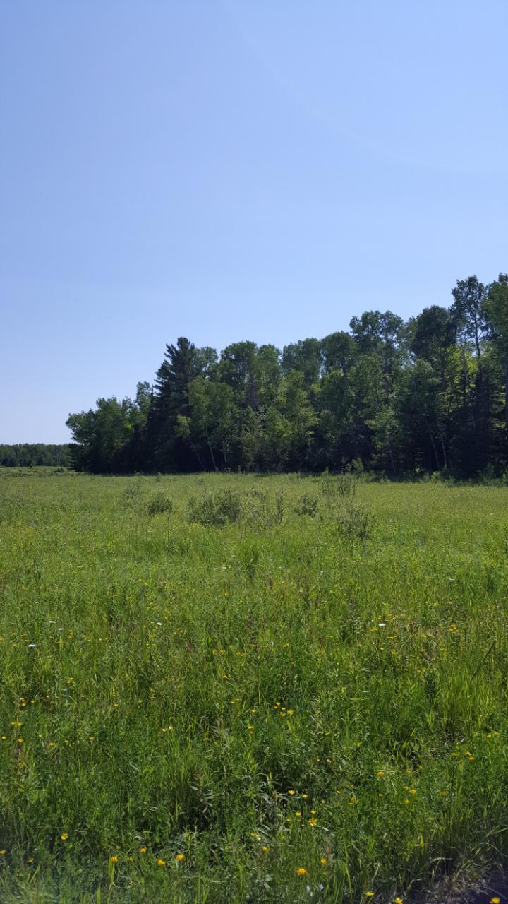 0 West 12 Mile Road Dafter, MI 49724 - Photo 3 of 15 Gallery Image 3