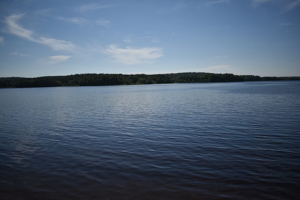 204 Stone Road East Brookfield, MA 01515 - Photo 5 of 42 Gallery Image 5