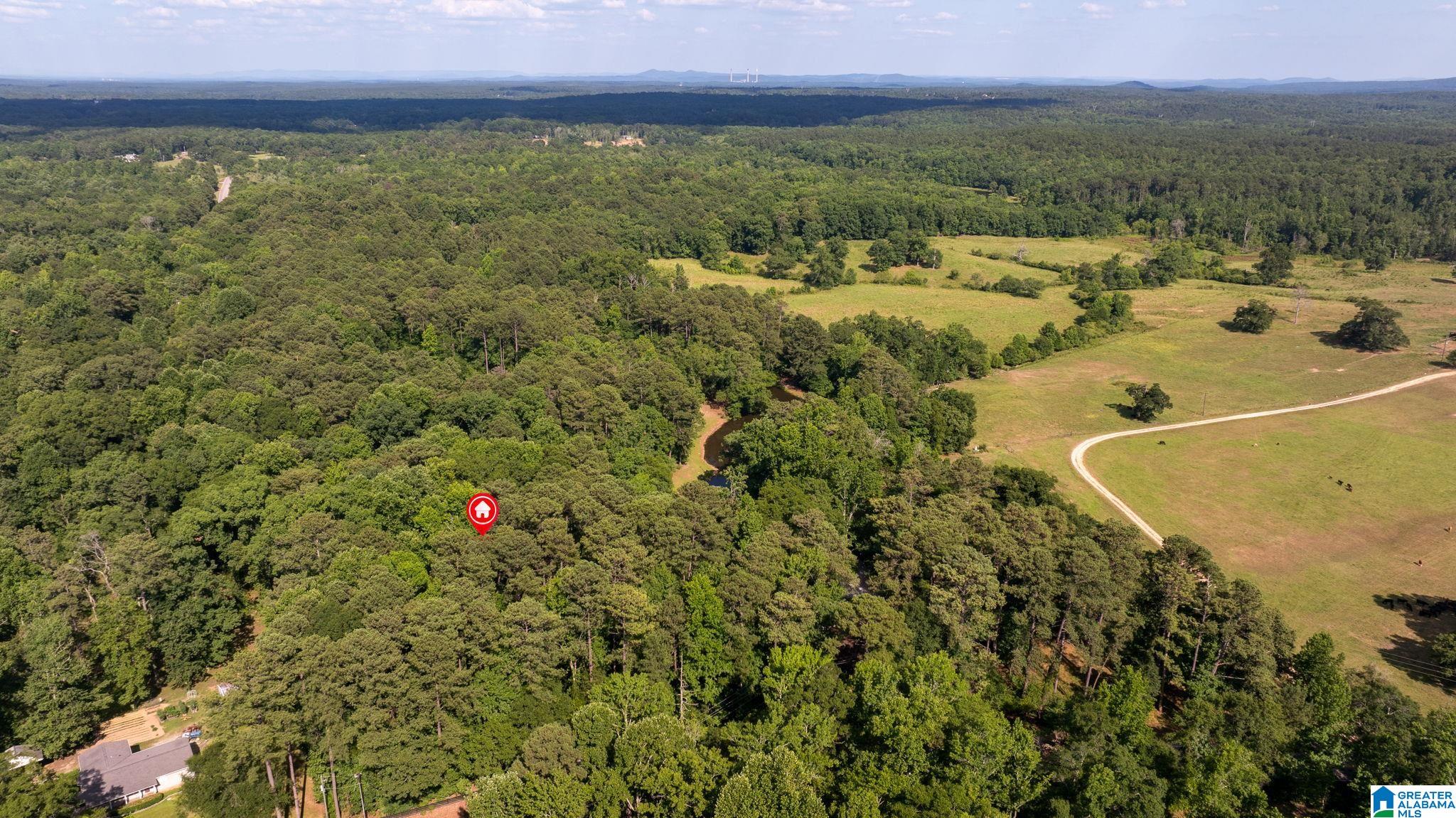 8484 Chelsea Road Columbiana, AL 35051 - Photo 77 of 77