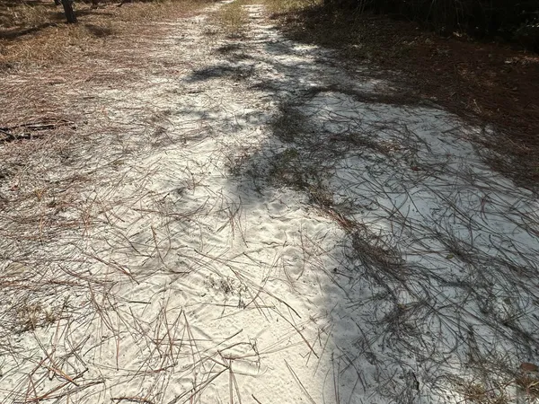 $296,500 | Parcel C New Ebenezer Road, Laurel Hill, FL 32567