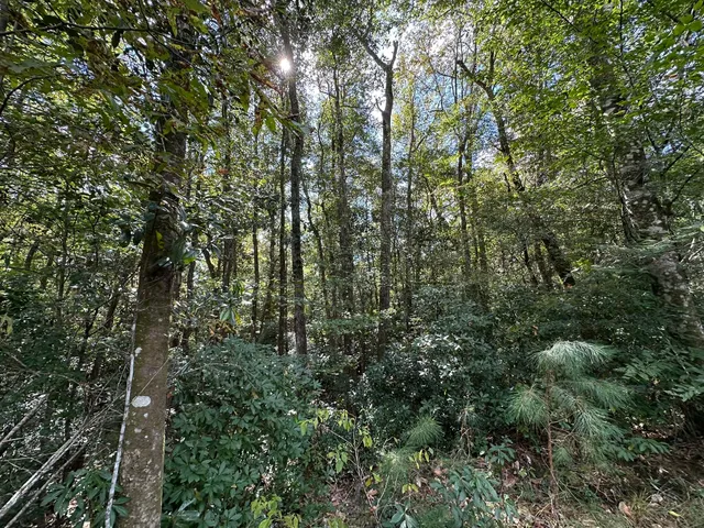 $296,500 | Parcel C New Ebenezer Road, Laurel Hill, FL 32567