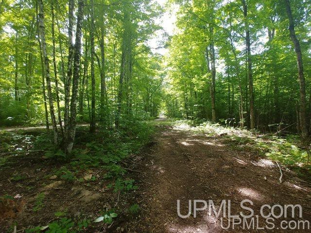 40-acres Co Rd 467 Germfask, MI 49836 - Photo 3 of 22