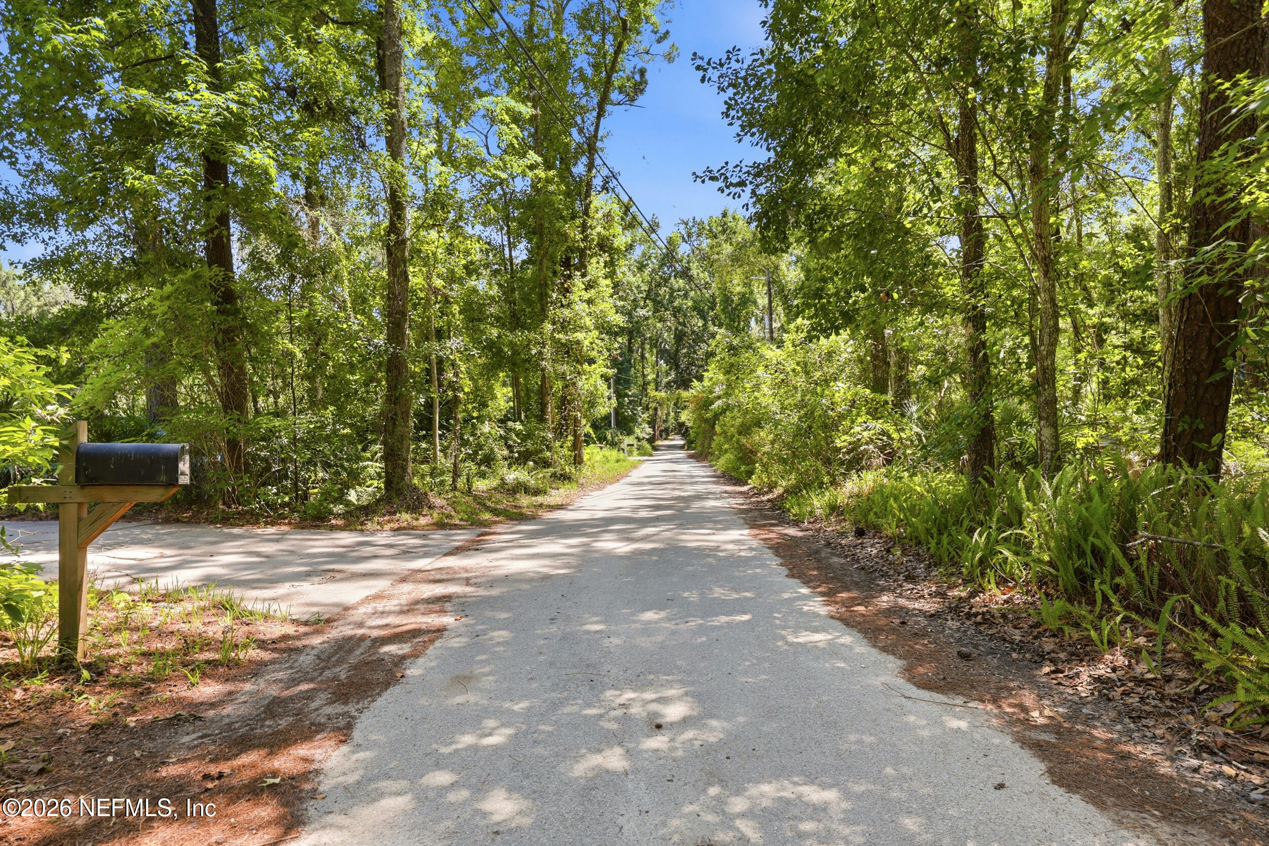 11920 Acosta Road Jacksonville, FL 32223 - Photo 5 of 47 Privacy abounds