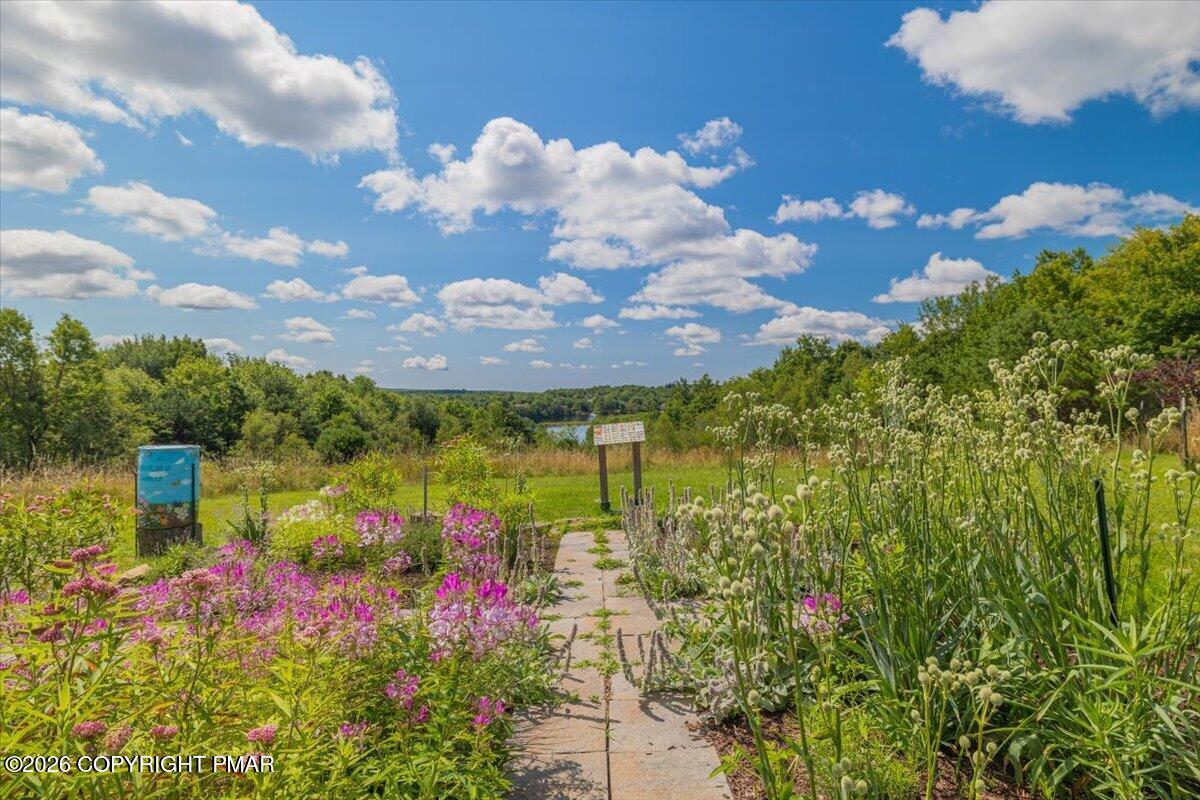 1254 Clover Road Long Pond, PA 18334 - Photo 64 of 71 119-5C1A3430-HDR