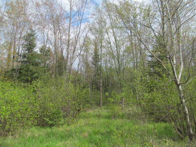 On Jane Spur Road, Unit 81 ACRES Gleason, WI 54435 - Photo 7 of 16 Gallery Image 7