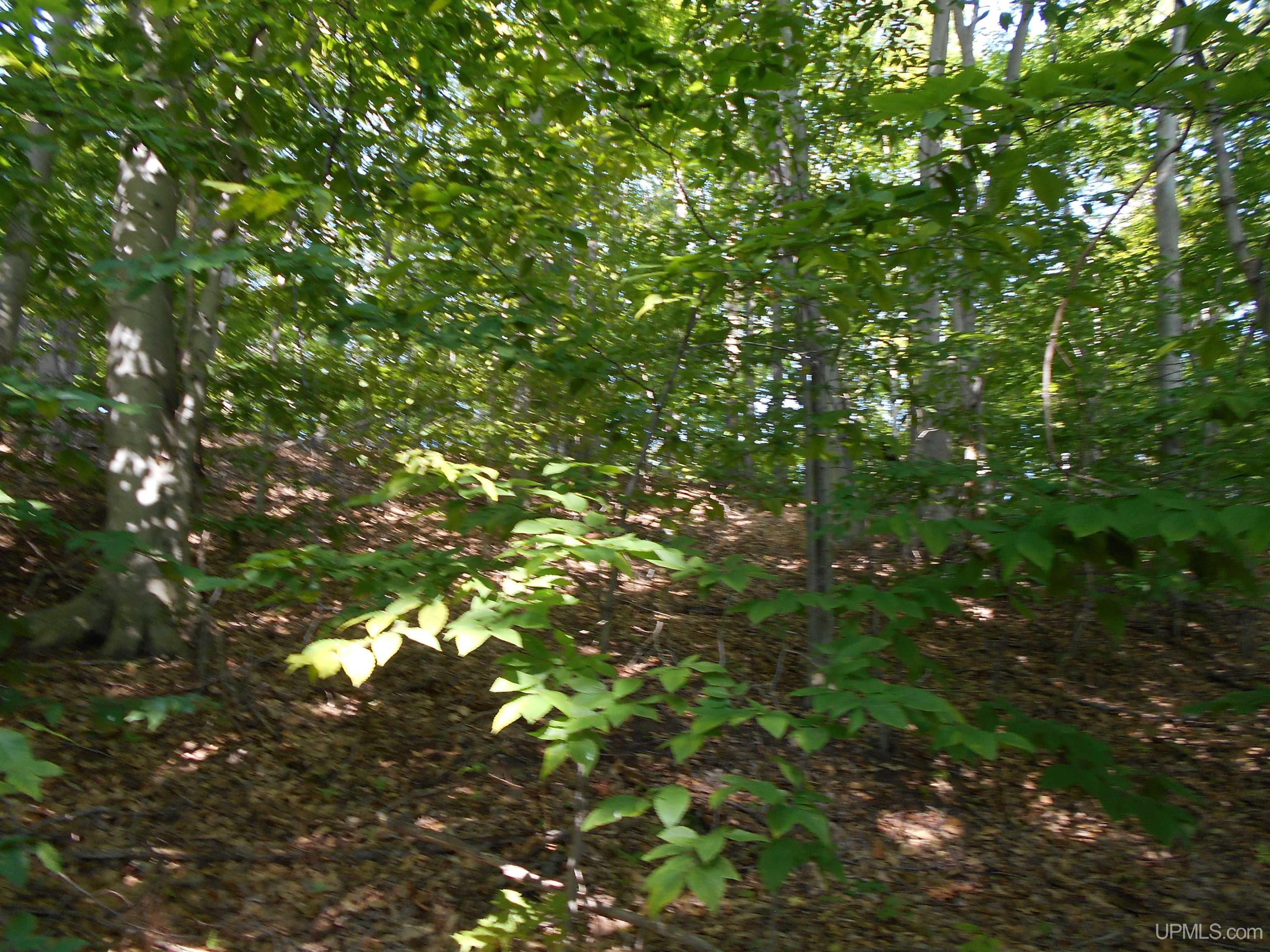 1727 N West Kendall Road Manistique, MI 49854 - Photo 46 of 49