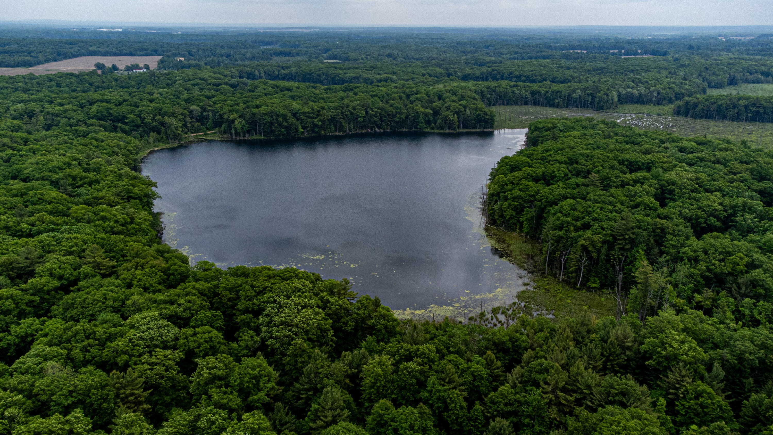 5696 Winter Road Walkerville, MI 49459 - Photo 3 of 37 DJI_0116